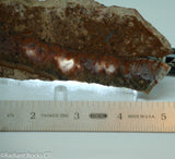 Plume Seam Agate slab 3.6 oz  (100 grams)