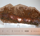 Plume Seam Agate slab 3.6 oz  (100 grams)