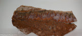 Plume Seam Agate slab 3.6 oz  (100 grams)