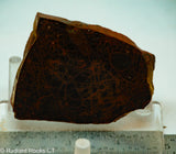 Spiderman Jasper Lapidary Slab - Radiant Rocks CT