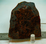 Spiderman Jasper Lapidary Slab - Radiant Rocks CT