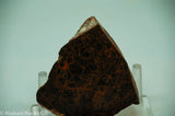 Spiderman Jasper Lapidary Slab - Radiant Rocks CT