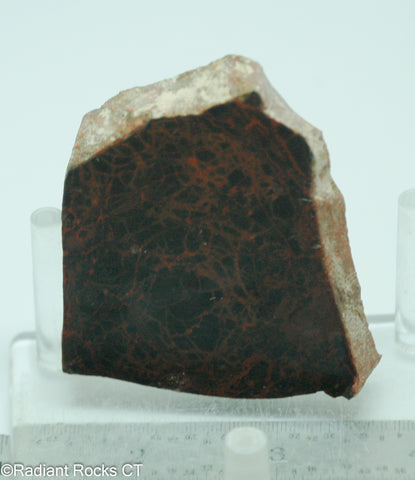 Spiderman Jasper Lapidary Slab - Radiant Rocks CT