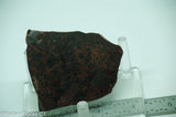 Spiderman Jasper Lapidary Slab - Radiant Rocks CT