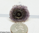 Polished Stalagmite Slice - Radiant Rocks CT