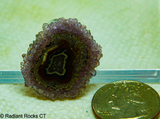 Polished Stalagmite Slice - Radiant Rocks CT