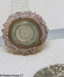 Stalagmite Slice  -  Radiant Rocks CT