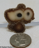 Polished Stalagmite Slice - Radiant Rocks CT