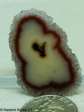 Polished Stalagmite slice 8 grams - Radiant Rocks CT