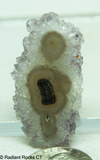 Polished Stalagmite slice - Radiant Rocks CT