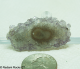 Polished Stalagmite slice - Radiant Rocks CT