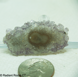 Polished Stalagmite slice - Radiant Rocks CT