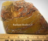 Stone Canyon Jasper Agate Lapidary slab 5.8 oz (165 gram) - radiantrocksct