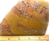 Stone Canyon Jasper Agate Lapidary slab 5.8 oz (165 gram) - radiantrocksct