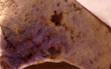 Arizona Burro Creek Purple Agate 1.2oz Lapidary Cabochon slab - radiantrocksct