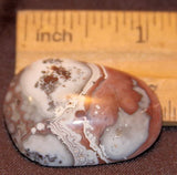 Wave Hill Agate Freeform Cabochon  36 carats - radiantrocksct