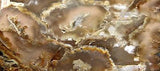 Northridge Plume Agate 3.8 oz  lapidary slab great plumes and agate - radiantrocksct