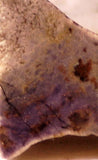 Arizona Burro Creek Purple Agate 1.2oz Lapidary Cabochon slab - radiantrocksct
