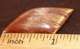 Freeform Red Gold Tiger's eye Cabochon 18 carat beauty - radiantrocksct