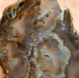 Northridge Plume Agate 3.8 oz  lapidary slab great plumes and agate - radiantrocksct
