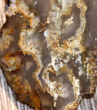 Northridge Plume Agate 3.8 oz  lapidary slab great plumes and agate - radiantrocksct