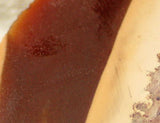 Bruneau Jasper Lapidary Cabochon Slab 0.6 oz light and dark contrasts - radiantrocksct