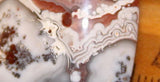 Wave Hill Agate Freeform Cabochon  36 carats - radiantrocksct
