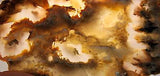 Northridge Plume Agate 3.8 oz  lapidary slab great plumes and agate - radiantrocksct