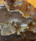 Northridge Plume Agate 3.2 oz  lapidary slab great plumes and agate - radiantrocksct