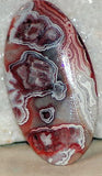 Red Crazy Lace Agate Cabochon 36 carats - radiantrocksct