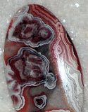 Red Crazy Lace Agate Cabochon 36 carats - radiantrocksct