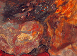 Red Crazy Lace agate Lapidary Cabochon rough 40 lbs Great colors /patterns - radiantrocksct