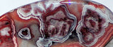 Red Crazy Lace Agate Cabochon 36 carats - radiantrocksct