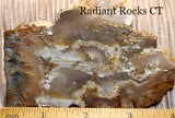 Northridge Plume Agate 3.8 oz  lapidary slab great plumes and agate - radiantrocksct