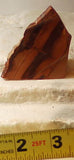 Bruneau Jasper Lapidary Cabochon Slab 1.2 oz beautiful colors - radiantrocksct