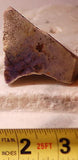 Arizona Burro Creek Purple Agate 1.2oz Lapidary Cabochon slab - radiantrocksct