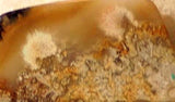 Red Crazy Lace Agate Cabochon 148 carats - radiantrocksct