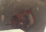 TeePee Canyon agate slab 2.2 oz (60 grams) measuring  ~2.5" x 2" x 1/4".   
