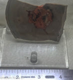 TeePee Canyon agate slab 2.2 oz (60 grams) measuring  ~2.5" x 2" x 1/4".   