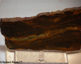 Australian Thin Banded Marramamba lapidary slab 5.8 oz (165 grams)