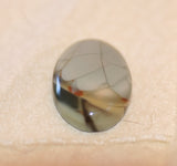 Willow Creek Jasper Oval Cabochon 24.5 carats