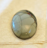 Willow Creek Jasper Oval Cabochon 24.5 carats