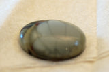 Willow Creek Jasper Oval Cabochon 24.5 carats