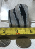 Zebra Agate heel cut 1.8 oz (55 grams) - radiantrocksct