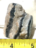 Zebra Agate heel cut 1.8 oz (55 grams) - radiantrocksct