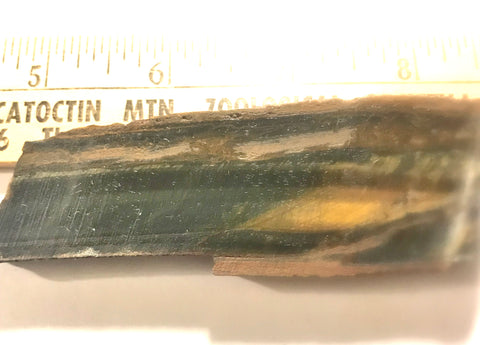 Blue Gold Tiger's Eye lapidary cabochon slab 1.8 oz (50 grams) - radiantrocksct