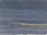 Blue Gold Tiger's Eye Lapidary Slab - Radiant Rocks CT