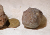 Botswana banded agates 5.0 oz (140 grams) 2 lapidary nodules - radiantrocksct