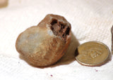 Botswana banded agates 4.8 oz (135 grams) 2 lapidary nodules - radiantrocksct