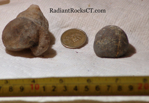 Botswana banded agates 5.5 oz (160 grams) 2 lapidary nodules - radiantrocksct